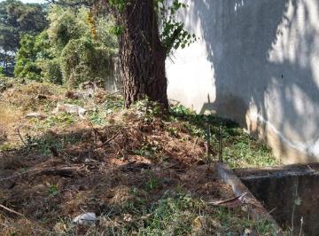 Terreno / Lote · 311m² · Terreno en Venta Al Norte de Morelos, Zona Boscosa, con Cimientos y Construccion de Cisterna.
