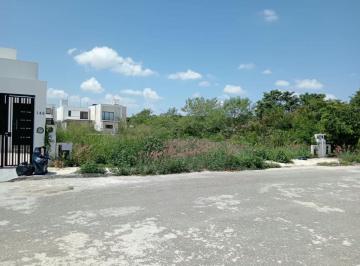 Terreno / Lote , Mérida · Terreno en Venta en Merida, Yucatan en Gran San Perdro Cholul