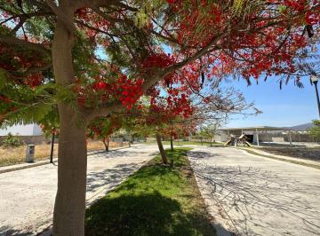 Terreno / Lote , Tlajomulco de Zúñiga · Terreno en Venta en Santa Anita