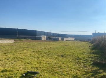 Terreno / Lote · 5000m² · Venta de Terrenoejidal en Canalejas