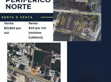 Terreno / Lote · 10000m² · Terreno en Renta o Venta en Periferico Norte, Mérida Yucatán