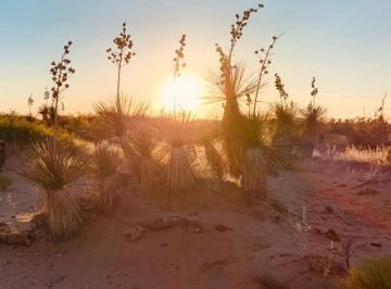 Terreno / Lote , Juárez · 100 Hectáreas "Plazuela de Acuña