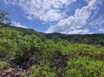 Terreno / Lote · 1000m² · Terrenos Campestre en Venta Isa - (4)