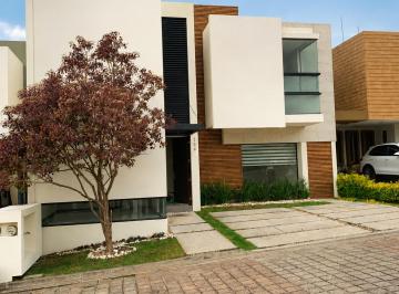 Casa de 3 habitaciones, Morelia · Casa en Renta en Fracc Cedros, Tres Marías, Morelia
