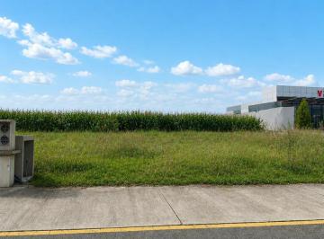 Terreno / Lote · 320m² · Terreno en Venta Uso de Suelo Habitacional/comercial