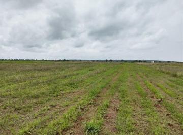 Terreno / Lote , Pabellón de Arteaga · Terrenos en Venta Al Norte de La Ciudad Los Naranjos