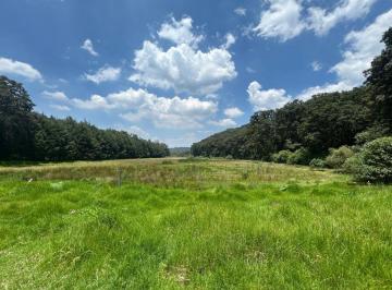 Rancho de 4 habitaciones, Jilotzingo · Rancho en Venta en Jilotzingo 30 Ha