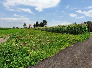 Terreno / Lote , San Martín Texmelucan · Terreno en Venta – Santa María Moyotzingo, San Martín Texmelucan, Puebla