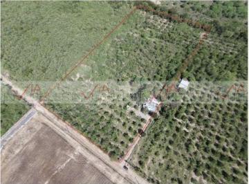 Terreno / Lote · 134m² · Terreno / Lote en Venta en Lajitas de Arriba