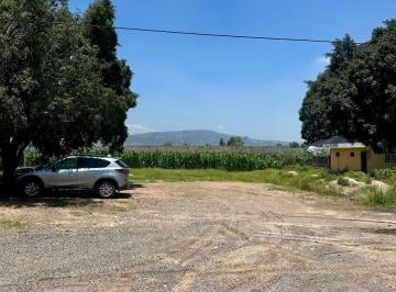 Terreno / Lote , Tlajomulco de Zúñiga · Terreno en Renta Sobre Carretera a San Sebastián El Grande