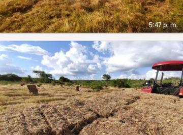 Terreno / Lote , Tekax · Terreno de 500 Hectáreas Tekax: Valle del Sur