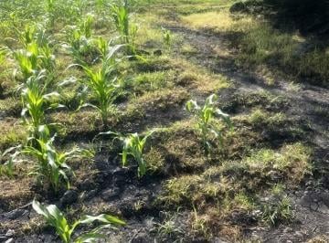 Terreno / Lote · 17000m² · Oportunidad de Reserva Territorial en Venta; en Cuernavaca Morelos