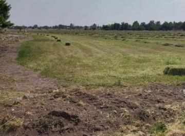 Rancho de 1 habitación, León · 24 Ha en Venta con Riego, Pozo E Infraestructura | León, Gto.