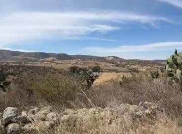 Rancho de 1 habitación, Guanajuato · 127 Hectáreas en Venta con Riego, Construcción y Ganado | San Felipe, Gto.