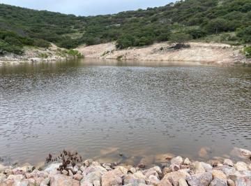 Rancho de 1 habitación, San Felipe · Rancho de 500 Hectáreas en San Felipe Torres Mochas, Guanajuato – $20 Mdp