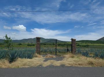 Terreno / Lote · 35059m² · Terreno en Venta - (4)