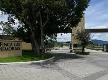 Terreno / Lote , Atlixco · Terreno en Finca Las Memorias Atlixco, Excelente Precio