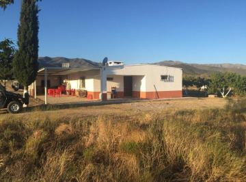 Rancho de 1 habitación, Ocampo · Rancho Ganadero en Venta, Ocampo Coahuila