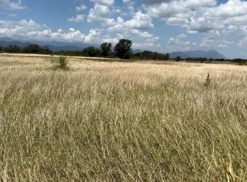 1 · Terreno Campestre 20,000 m², Carretera Allende - Cadereyta