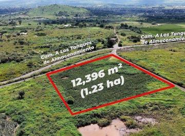 608e7aba12be918f7cce98ed16da595110e35486ac77f8a1003d99f81c8f8eb7 · El Salto Terreno en Venta a Pie de Carretera