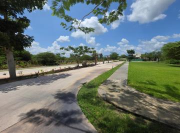 Terreno / Lote · 232m² · Lote Residencial en Venta Cabo Norte