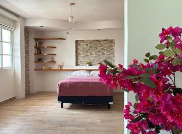 Departamento de 1 habitación, Veracruz · Rento Loft Amueblado Para Ejecutivos, Profesionistas y Parejas. Primer Piso. Frac. Reforma. Veracruz