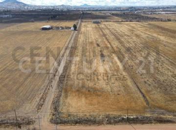 Terreno / Lote · 10000m² · Terreno Rustico - Habitacional en Quinta Lupita (Atrás de Unifrut)
