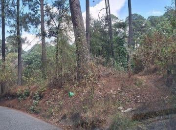 Terreno / Lote · 1042m² · Terreno Plano y Arbolado a 8 Min de Avándaro, Listo Para Escriturar