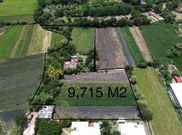 Terreno / Lote · 9715m² · 9,715 m² de Terreno en Venta en Granjas Merida Temixco Morelos