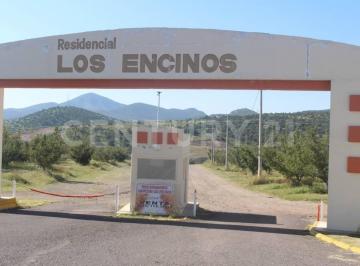 Terreno / Lote · 1000m² · Terrenos Campestres en Cd. Cuauhtemoc, Chihuahua.