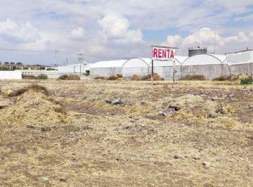 Terreno / Lote · 5001m² · En Renta Terreno Industrial y de Servicios de 5,000 m² en Zona Industrial