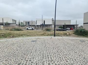 Terreno / Lote · 288m² · Terreno en Venta El Lomas del Campanario de 288 m², Listo Para Construir