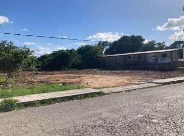 Terreno / Lote · 2120m² · Terreno Comercial en Renta en Av 39 Valladolid Yucatán
