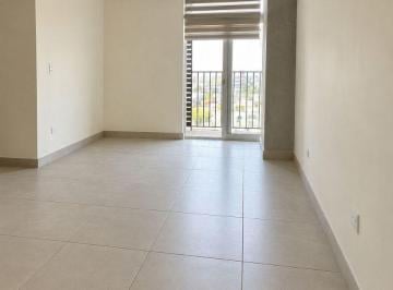 Departamento de 2 habitaciones, Monterrey · Departamento en Renta, Arena Calza, Centro de Monterrey