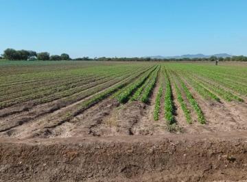 Terreno / Lote · 25ha · 1 Estacionamiento · Terreno en Venta Agricola en Hermosillo