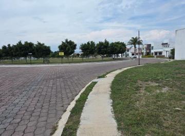 Terreno / Lote , San Juan del Río · Venta de Gran Lote 314 m² en Campestre San Juan Sjr Qro Enfrente de Glorieta Principal