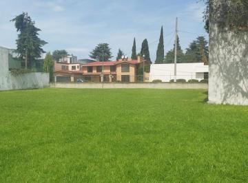 Terreno / Lote · 253m² · Terreno en Venta Colonia Ciprés, Toluca