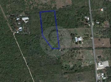 Terreno / Lote · 15000m² · Terreno Residencial en Venta en Motul de Carrillo Puerto Centro