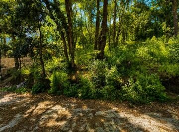 Terreno / Lote , Mineral del Monte · Terreno Boscoso de 420 m² en Venta en Mineral del Monte