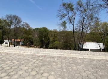 d2785c4cf8064854886564dead30d948d7e9669fbd5b88d4d28515bfa0cabfbd · Terrenos en Venta en Haras del Bosque