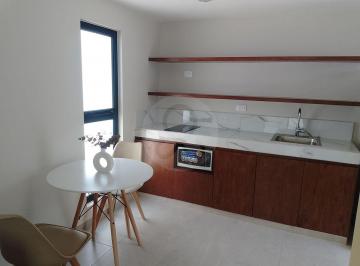 Departamento · 45m² · 1 Recámara · Departamento en Renta en Fraccionamiento Yucalpeten