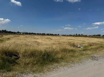 Terreno / Lote · 95000ha · Terreno en Venta, Santa Ana Nextlalpan, Estado de México, Sup 9.5 Has (Escriturado) aifa