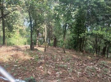 Terreno / Lote · 1000m² · Terreno en Venta - (4)