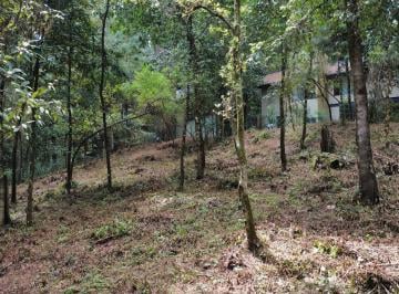Terreno / Lote · 1000m² · Terreno en Venta - (4)