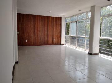 Departamento de 2 habitaciones, Benito Juárez · Iluminado y Espacioso Departamento