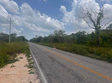 Terreno / Lote , Hunucmá · Terrenos Comerciales en Venta Sobre Carretera a Hunucmá a 1 Km de Estación de Tren Maya Mérida Yuc