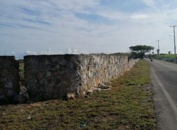 Terreno / Lote , Dzemul · Terreno en Venta Sobre Carretera a Telchac Puerto, Entrada de Dzemul (1 Hectaria)
