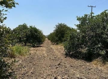 1 · Terreno en Venta con Uso de Suelo Comercial / Habitacional en Linares. N. L