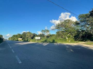 Terreno / Lote , Conkal · Excelentes Terrenos Sobre Carretera Merida - Chicxulub, en San Diego Cutz!