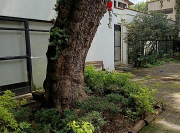 Oficina , Coyoacán · Oficina de 17 m² en Renta en del Carmen